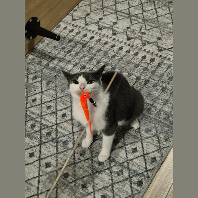 Photo of Stu / Sophie