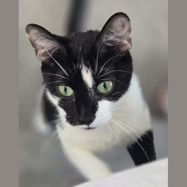 Photo of Blinky