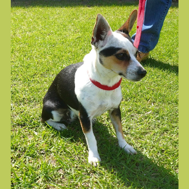 Photo of Wanda