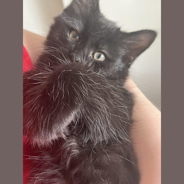 Photo of Odie N Dawn