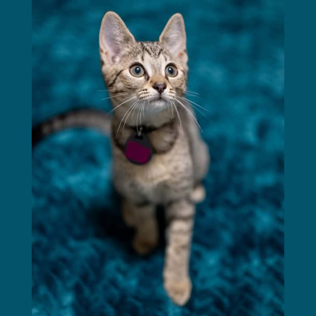 Photo of Rosie