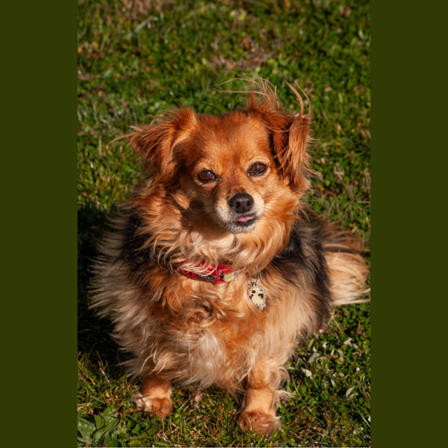 Photo of Lilly