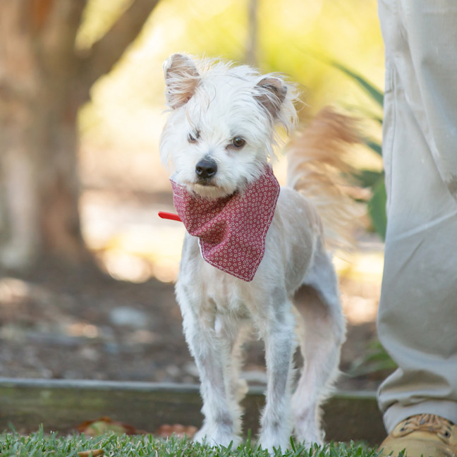 Photo of Jack Sprout