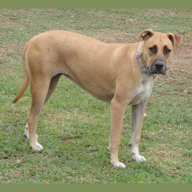 Photo of Lola
