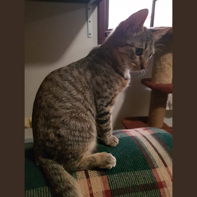 Photo of Nickolas 