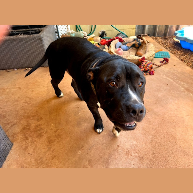 Photo of Oodie (Muggsy)