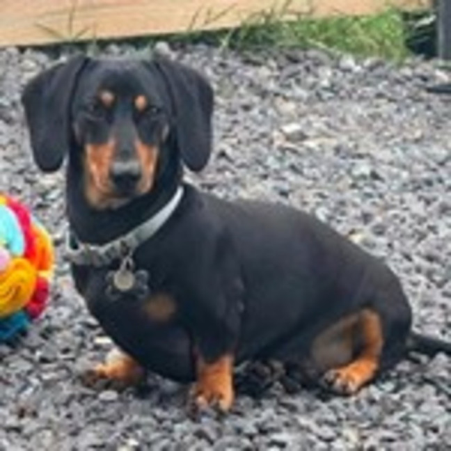 Photo of Mama And Frankie