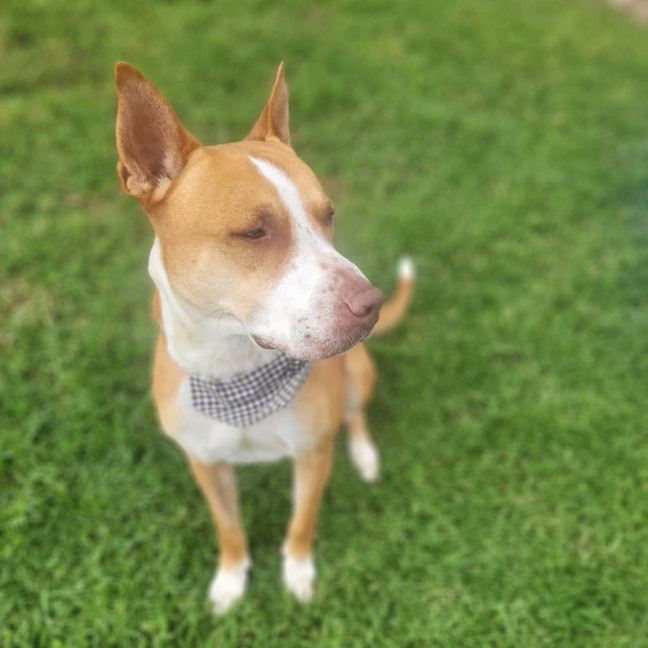Photo of Kevin