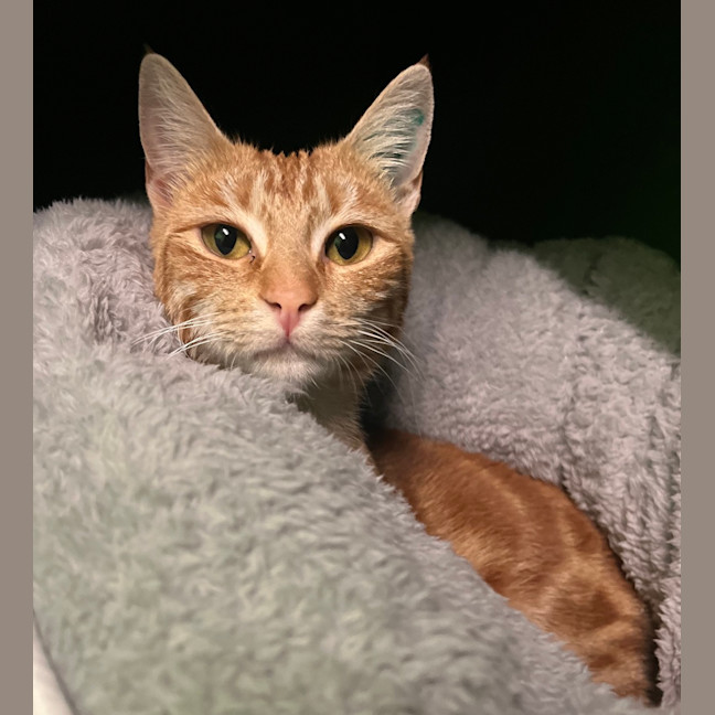 Photo of Molly