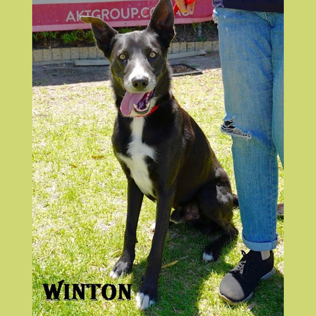 Photo of Winton