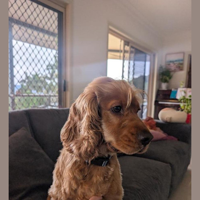 Photo of Walter