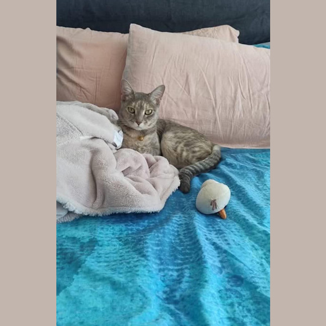 Photo of Peppurr