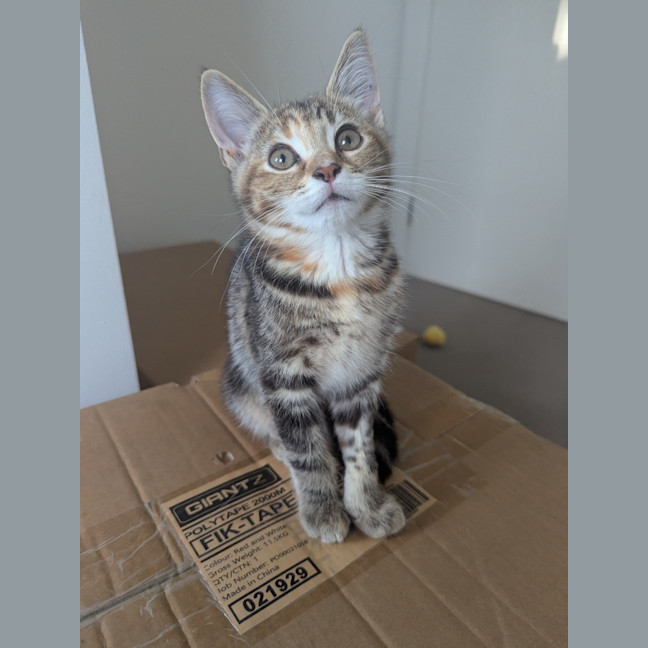 Photo of Blanche Golden