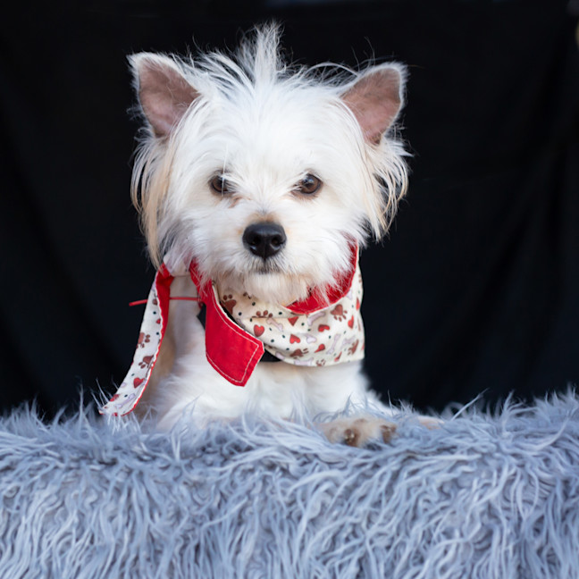 Photo of Jack Sprout