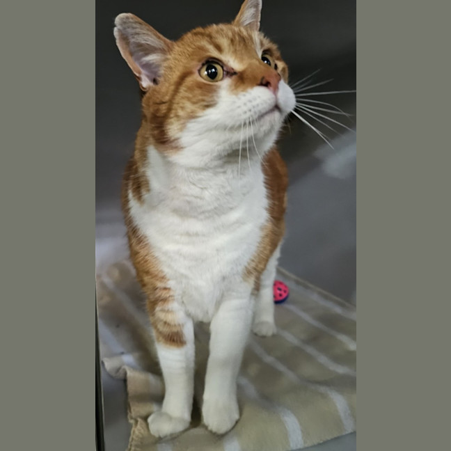 Photo of Fergus
