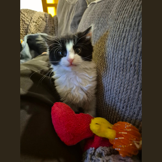 Photo of Daisy