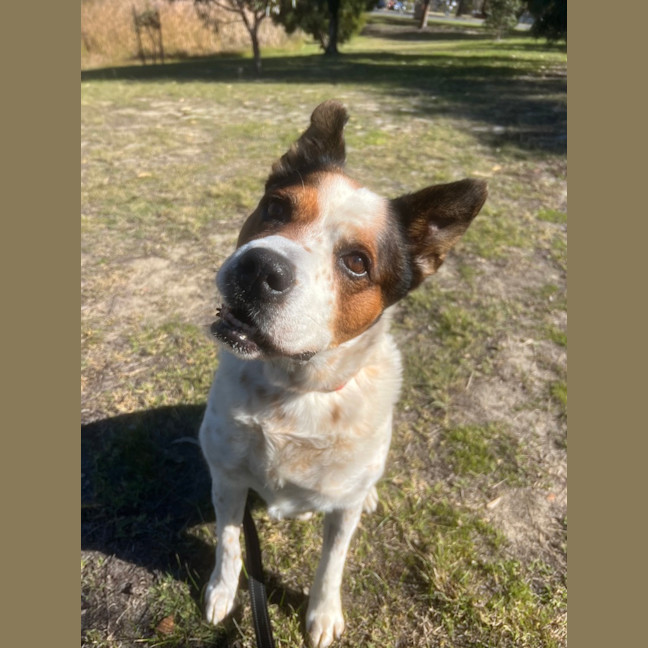 Photo of Billybob