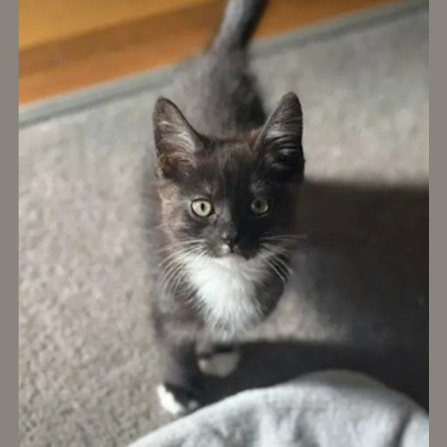 Photo of Edgar