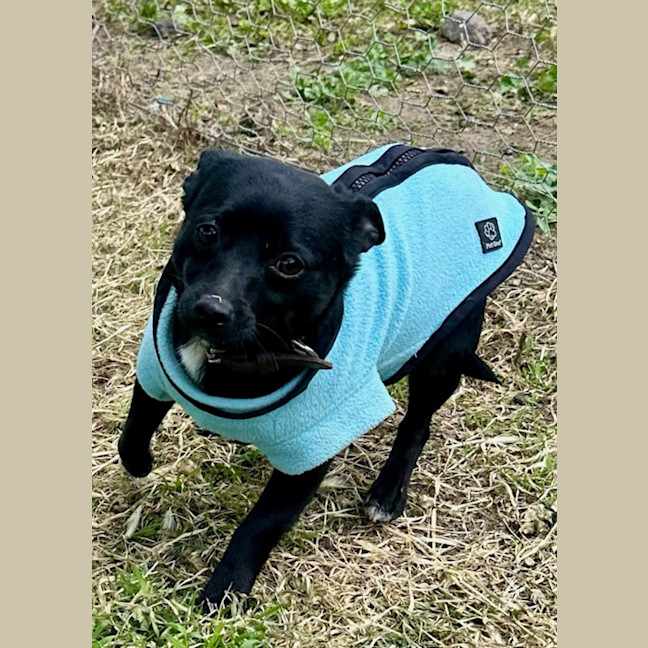 Photo of Scott (Turbo)