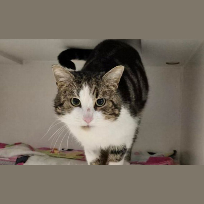 Photo of Byron