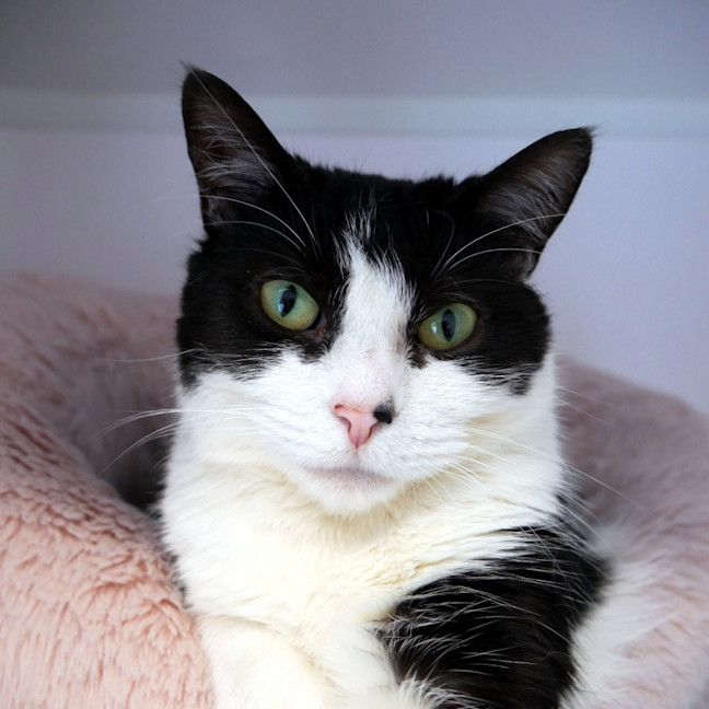 Photo of Jasmine Sta013879