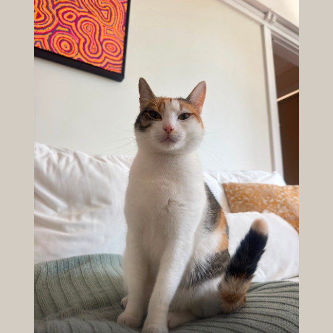 Photo of Pippa