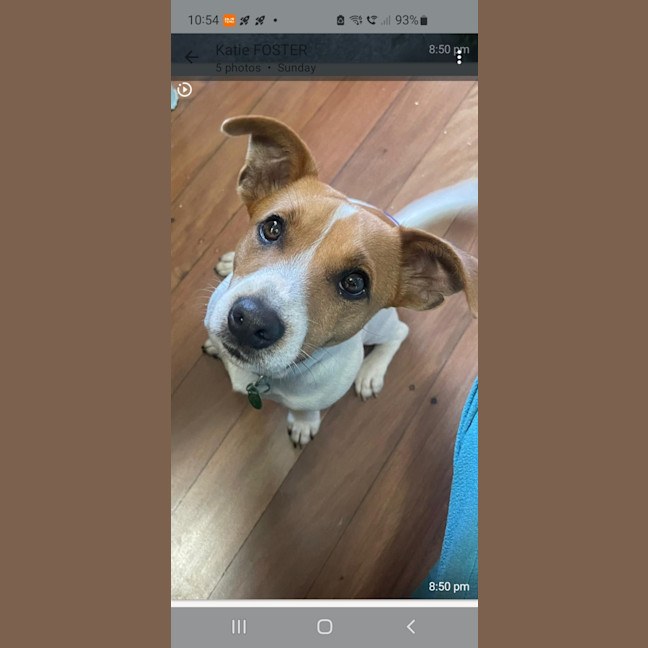 Photo of Burger