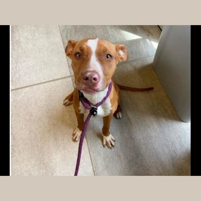 Photo of Ellie Imp 2917