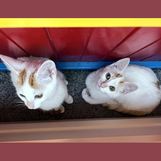 Photo of Neve & Cloud