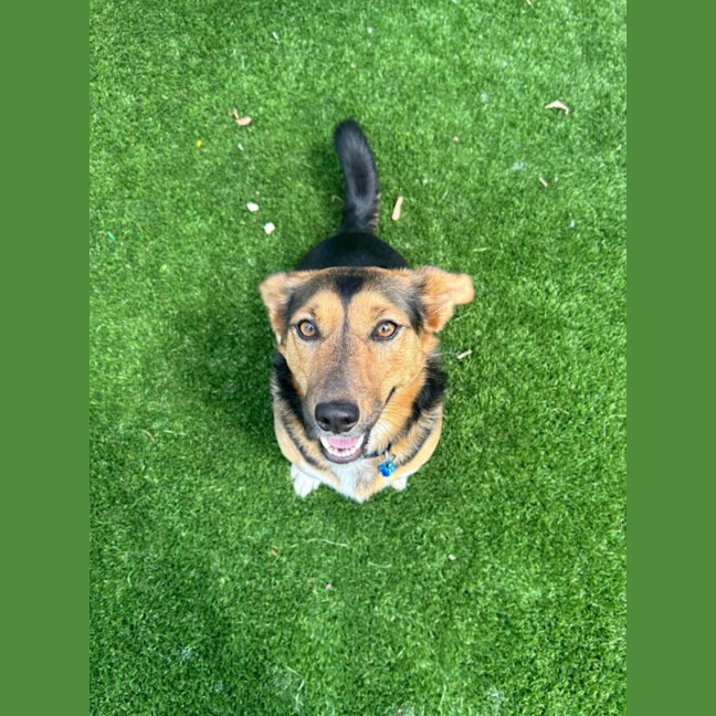 Photo of Wally