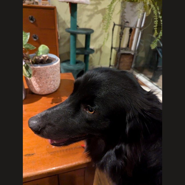 Photo of Finn Quinell