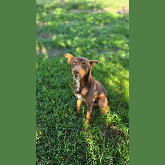 Photo of Max