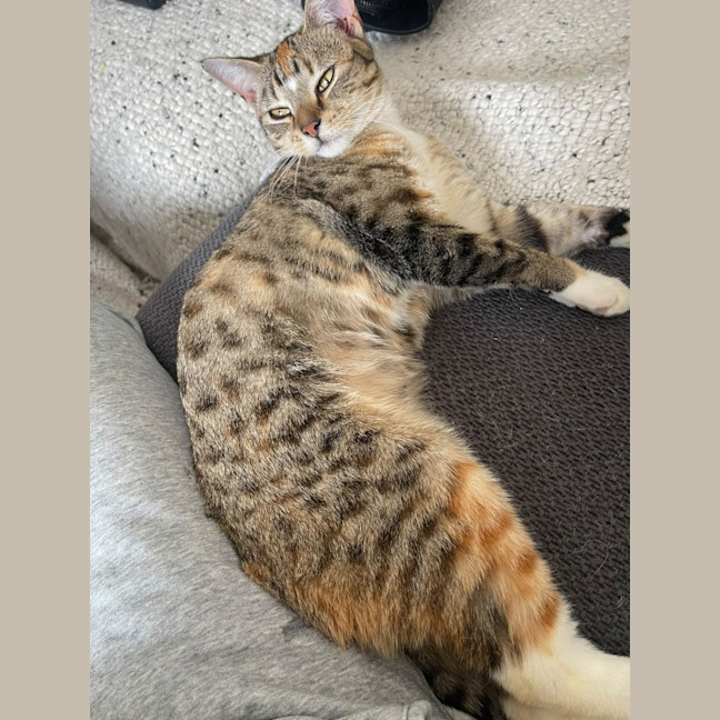 Photo of Chloe
