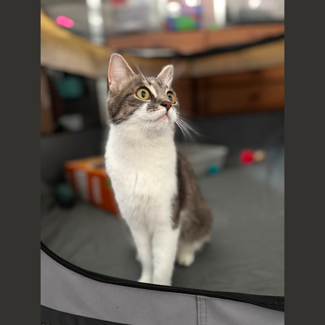 Photo of Bon Bon