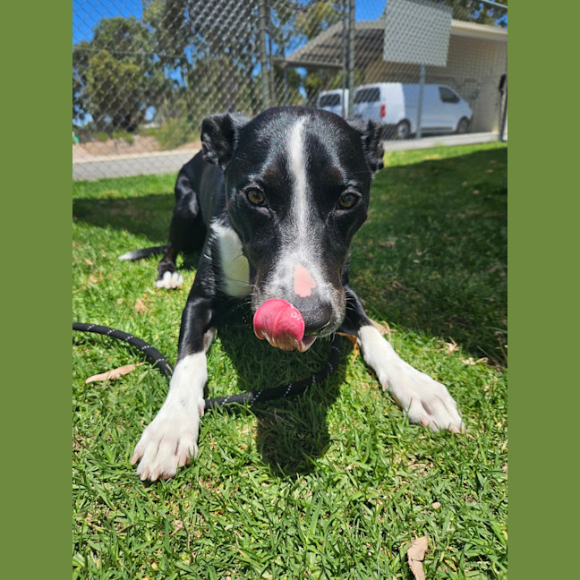 Photo of Nando (Spyro)