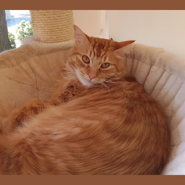 Photo of Bon