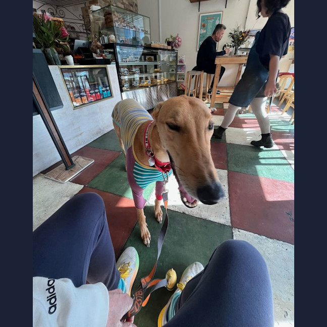 Photo of Ralph