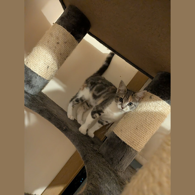 Photo of Mae