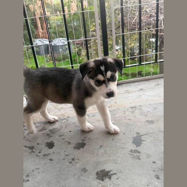 Photo of Arya