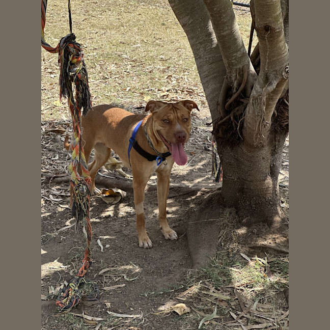 Photo of Ember