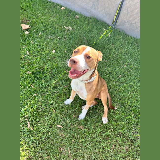 Photo of Lilah
