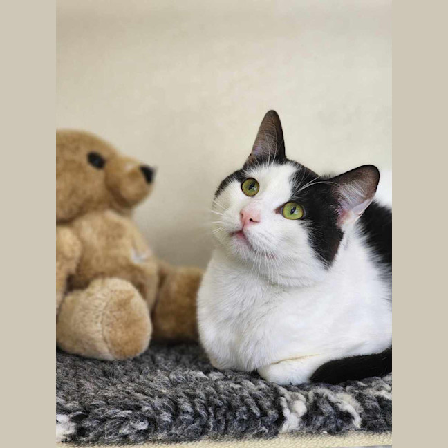 Photo of 🧃 Ian 5627 🧃