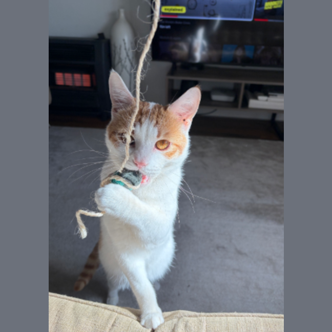 Photo of Clive