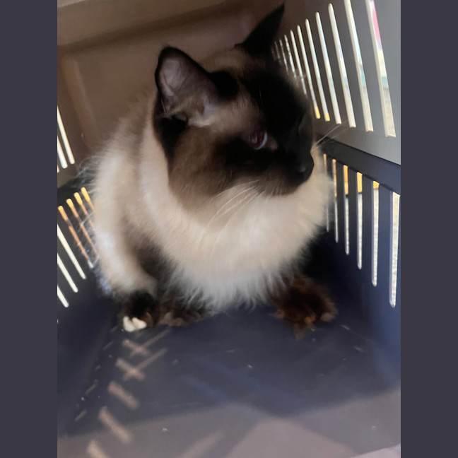 Photo of Mr Handsome