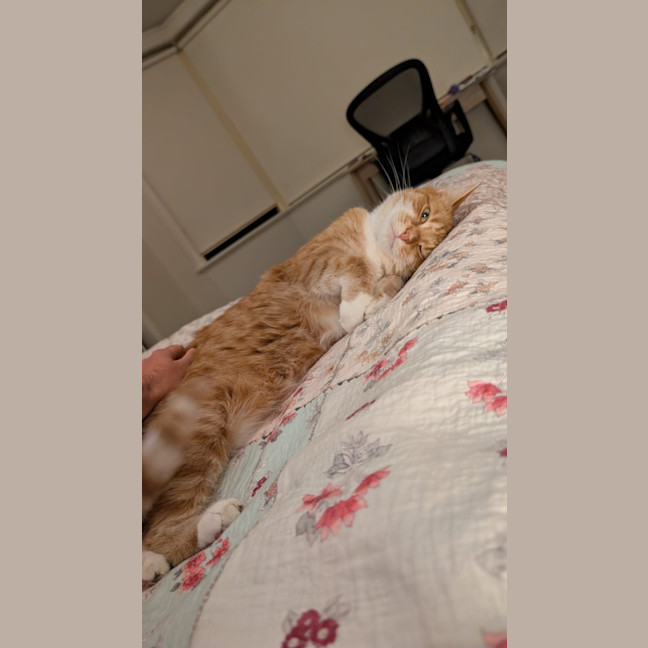 Photo of Goldie