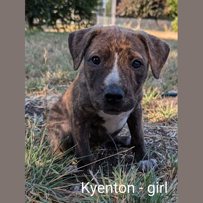 Photo of The Ranges Litter (Part 2)