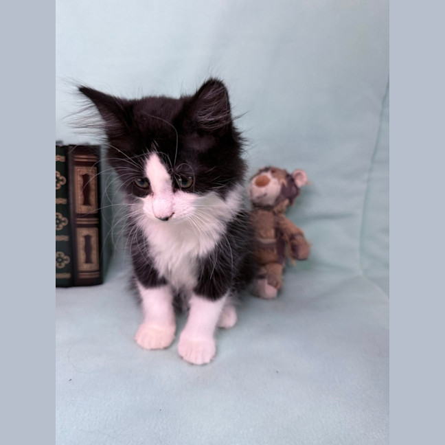 Photo of Gracie May 🌷