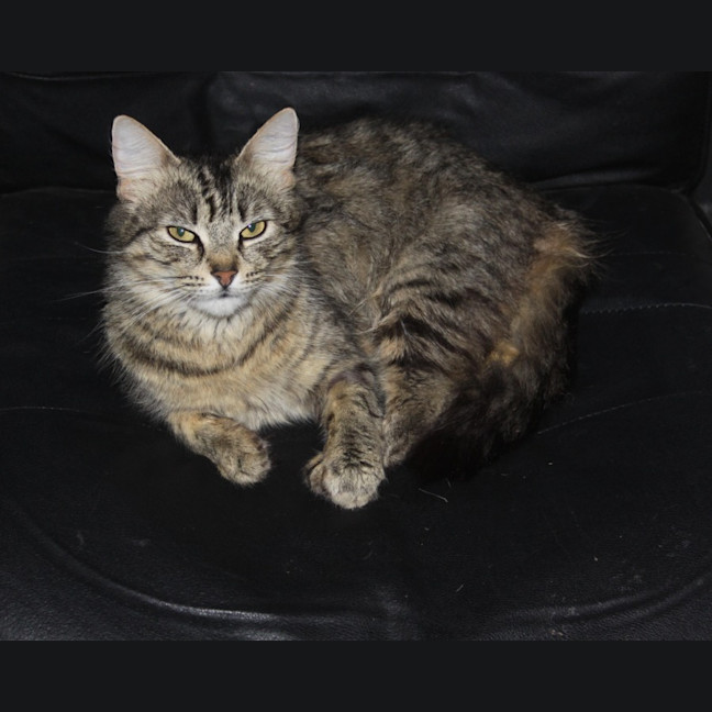 Photo of 💗 Billy Jo 💗