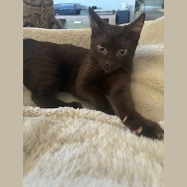 Photo of Aspen