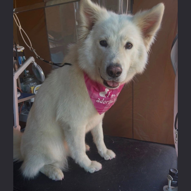 Photo of Holly